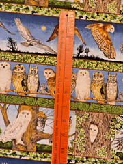 Owl border Makower UK realistic many owl species great colors 32″l x 25″ w +