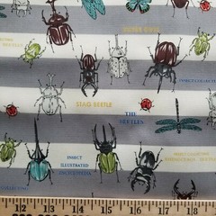Gray & White Stripe Light Cotton Duck Cloth – from Japan w/ Beetles!