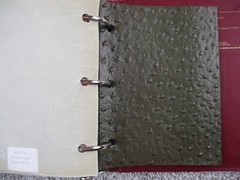 Kroupana Suede Specialty Leather Swatch Sample Book Animal Snake Belly Ostrich