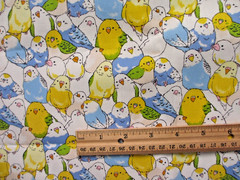 Colorful Parakeets Nomura Tailor Oxford Cotton Fabric BTHY