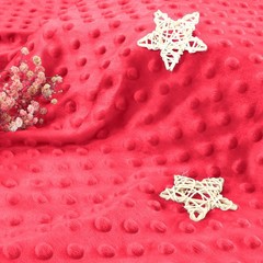 Homiest Minky Dot Fabric by The Yard, 1 Yard x 60 Inch Wide 1 Light Red