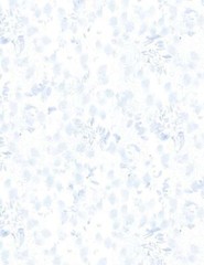 Among The Branches By Wilmington Prints – White/Blue Scattered Paint #39761-144
