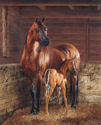 And God Created A Horse Panel (35.5″ x 45″) Panel Fabric (Single Panel)