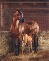 And God Created A Horse Panel (35.5″ x 45″) Panel Fabric (Single Panel)