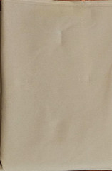 Beige Rayon Crepe Fabric Remnant, Tan Special Occasion Apparel, 54″W 4 yds