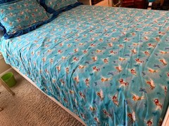 DISNEY TINKER BELL Fairy Princess Queen Bed Duvet with two Pillow Shams
