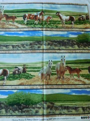 1 yard cotton quilt fabric MUSTANG MEADOW Nancy Glazier SSI South Sea Import BTY