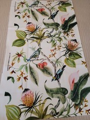 Hamilton Fabrics Paradise Bird Fabric 48″ x 54″ Botanical Floral