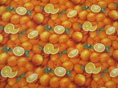 ORANGES REALISTIC SLICED ORANGE FRUIT FOOD COTTON FABRIC FQ