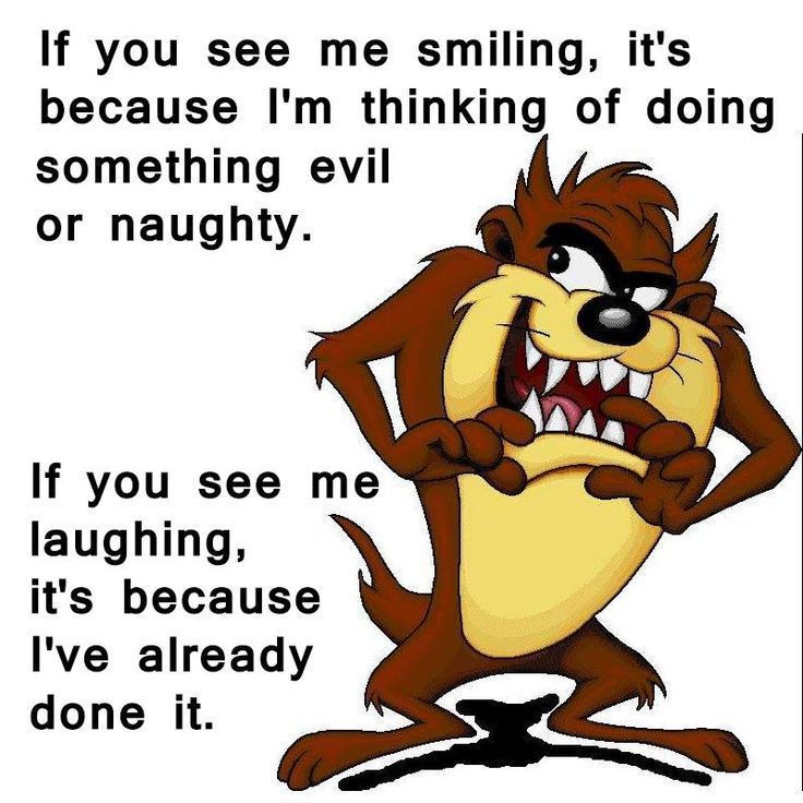 Quotes – Taz # 21 – 8 x 10 – T Shirt Iron On Transfer