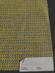 ROBERT ALLEN Long Rows in Edamame 17 1/4″ Woven Boucle Fabric Sample