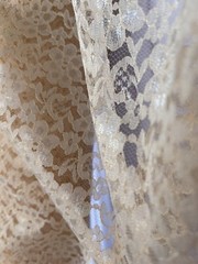 Champagne Sheer Mesh Floral Pattern Raschel Lace 58/60” Polyester Fabric By Yard