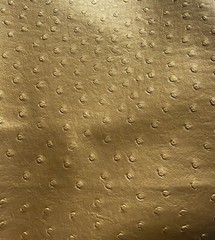 Metallic Gold ostrich faux vinyl Marine grade UV resistance waterproof Fabric
