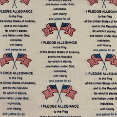 Vtg Springs Industries Fabric American Pride 5128 Pledge of Allegiance 2yds 31in