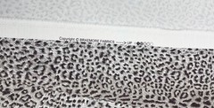 P KAUFMANN CHEETAH EBONY GRAY LEOPARD ANIMAL PRINT MULTIUSE FABRIC BY YARD 54″W