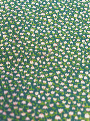 VTG Tiny Ditzy CALICO Grass GREEN w/ White & Pink Tulip Florals Cottagecore BTFQ