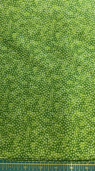CRANSTON-MINI-CIRCLES ON GREEN MARBLE BY JULIA CAIRNS FOR QUILT SHOP- BY THE YD