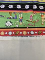 Extreme Fun Possibilities for Avlyn Inc. Sports Kids Fabric 34×44 Inches