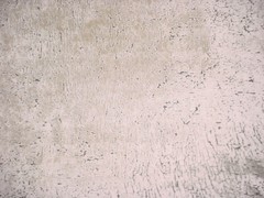 5-1/4Y Colefax and Fowler L9022 Barnes in White Gold Drapery Upholstery Fabric