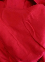 Red Plush Fabric 3 Yards (108″x42″) JoAnn Fabric