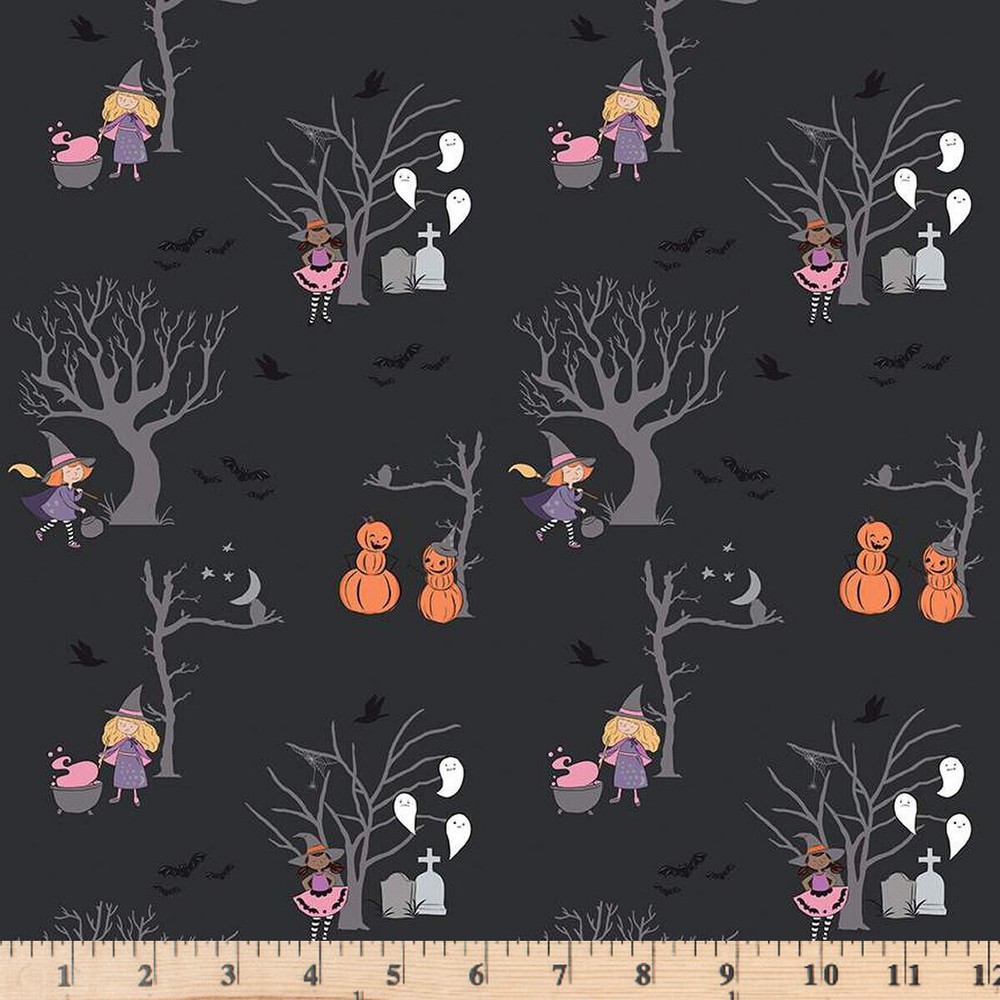 Spooky Schoolhouse with Silver Sparkle Halloween Black Half Yard Continuous Cuts