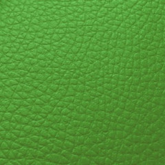 Apollo Lime (4 Way Stretch) Automotive/Marine Vinyl 10 Yard Cut *Free Shipping*