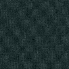 Ecological Fibers Sierra 5990 Paper Backed Black Fabric 21″ Wide, 50 Yards