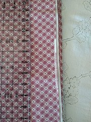 Country Classics Old Country Store Fabric Country Rose Hearts Bias Gingham BTFQ