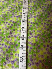 Fabric Lot 7 Yds 32 Ins 44 W “Violet Posey Swirls” Tutti Fruitti Floral Diagonal
