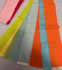 Riley Blake Designs PRECUT STRIP PACK (3″ x 21″) 24 Ct/Dots, Solids, Checks