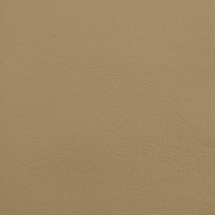 Tracker Boat Fuzzy Back Vinyl 24963 | Spradling Tan 54 Inch (Yard)
