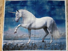 Magestic Unicorn At Night Digital Print Cotton Fabric Panel 1 Yard #AL39970C1