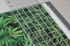 Cannabis Hemp Fabric Fat Quarter FQ {100% COTTON} Marijuana Pot Weed 420 Grass