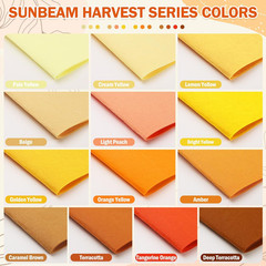 13 Pcs 8″X35″ Large Stiff Felt Fabric Sheets, 1.2Mm Thick Nonwoven Felt for DIY