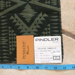 Pindler Pendleton Sunbrella Fabric Sample Square Black Green Geometric 13×13″