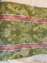 Lot of 3 shades of green print designs fabrics plaid quality floral samples
