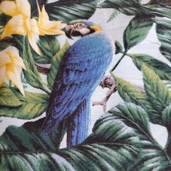 Vintage Fabric Springs Wings Of Paradise Parrots Birds Butterflies 34×45″ Cotton