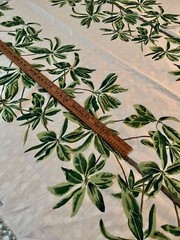 1.5 yards Thibaut Mangrove Tree Green & White Fabric Linen Cotton Tropical Leaf