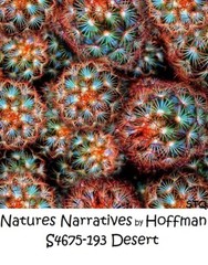 Natures Narratives Canyon Cotton Quilt Fabric by Hoffman BTY R4678-646