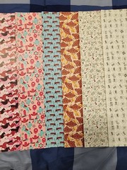 Polka Dotted Peach Faux Leather 6 Sheets 9×12 Texas Roadhouse Western RAE DUNN