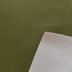 Proquinal Boat Fuzzy Back Vinyl 078772 | Genesis Green 54 Inch (YD)
