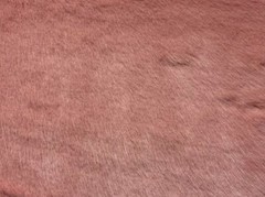 Super Luxury Faux Fur Fabric Material – SWISS DUSTY PINK
