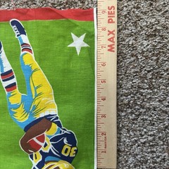 Vintage 1970s NFL Football Players Fabric 36” Wide 4.25 Yards