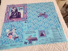 Vintage Hannah Montana 12″ Pillow Fabric Craft Panel Music Guitars