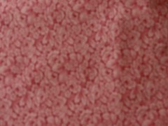 Unknown Mfg Pink Red w/Floral Flower Leaves Pattern 108″x44″ Fabric