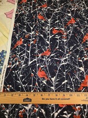 Brother Sister Design Studio Fabric, Winter Cardinals, Cotton, 1 Yd