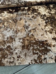 Clarke & Clarke Crush Velvet Fabric Sierra 55×56″ remnant