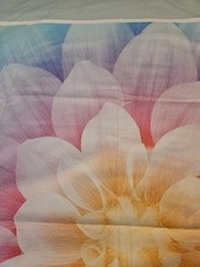 Dream Big Quilt Panel Hoffman S#P4389 Hoffman Spectrum By Jeanie Sumrall-Ajero