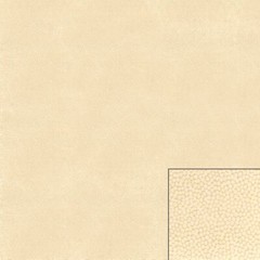 Thunderbird Boat 1/4 Foam Back Soft Vinyl | Cream Ostrich 54 Inch (YD)