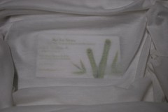 Tencel Knit jersey Fabric Ecofriendly Feather Weight Tencel Pfd undyed Sheer